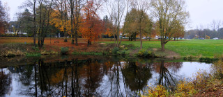 DSC00477 v4